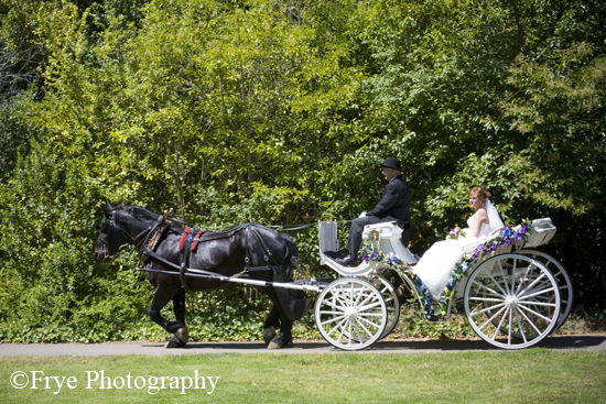 ardenwood_0003