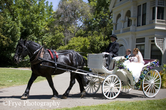 ardenwood_0011
