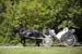 ardenwood_0003