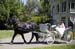 ardenwood_0011