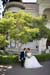 ardenwood_0014