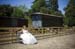 ardenwood_0024