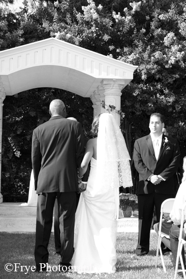 IMG_0070_bw