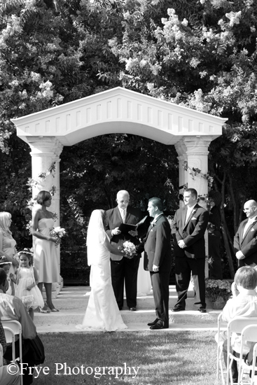 IMG_0086_bw