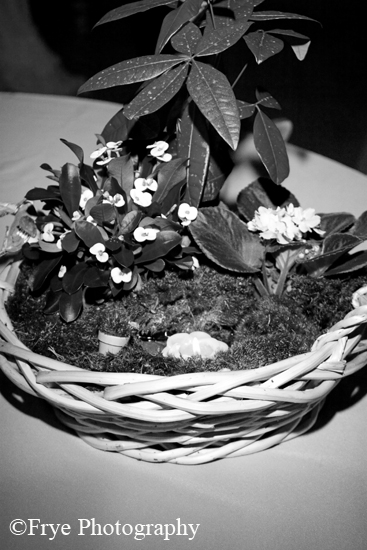 BW_0657